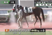 これ絶対関西馬だろうって馬名