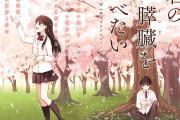 【悲報】「一般小説が原作のアニメ」、何故かヒット作が少ない