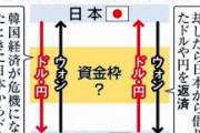 いいから滅べ！　～　【韓国】日韓スワップが必要でも再開要請はできない？ネットでさまざまな声「日本とのスワップ協定がなければ安心できない」　