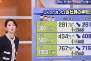 【疑問】すまん、なんで民主党ってボコボコに叩かれてたんだっけ？　全然思い出せない
