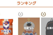 【画像】Jリーグクラブのグッズ売上ランキングが世知辛すぎる…