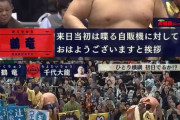 【朗報】鶴竜、少額でも「ナイスパでーーーーす！！！」