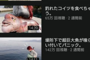 女さん「釣り楽しいなあ、YouTubeで配信してみよ」