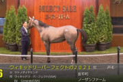 【セレクトセール2022】ウィキッドリーパーフェクトの2021（父サトノダイヤモンド）11,500万円で落札