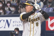 阪神・佐藤輝明　打率.302 出塁率.333 三振率.325←これ