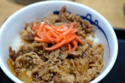 【悲報】 牛丼、昔は290円で食べられた