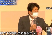 【経済】なぜ日本はここまで貧乏な国になったのか…安倍晋三氏から相談を受けていた筆者が思う「アベノミクスの壮大な失敗」  [田杉山脈★]