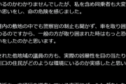【速報】自民議員「抜き打ちで川口を視察するか」→怒鳴り散らす外国人の車数台にブロックされ警察沙汰→クルド協会が反論