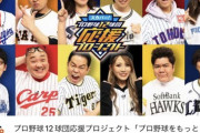 【スカパー公認】12球団を代表するタレントファン