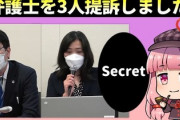 【暇な空白チャンネル】29日19時に『弁護士を3人提訴しました』発表