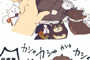 【FGO】犬に絡まれてるカドック君を撮影するマシュ＆ぐだ男！！　「なんとかしてくれ！」