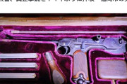 秋田県警が押収した拳銃、とんでもない骨董品で界隈がざわつく