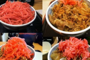 吉野家とかで紅ショウガたっぷり載せて食う奴