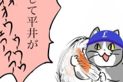 【？報】平井猫、ちくわと謎コラボ