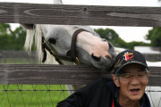 須貝「ゴールドシップは頭が良い」競馬ファン「ゴールドシップ頭が悪い」