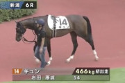 【日向坂46】新潟6R・2歳新馬戦で『キュン』という名前の馬がデビューした結果…