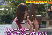 【乃木坂46】マシュー・ペリーといえば山崎怜奈という風潮・・・