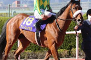 【14年ぶり牝馬のダービー制覇へ】桜花賞2着サトノレイナス　日本ダービー出走へ