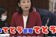 全国民が困惑。国会で「てとう」「てとう」を連発する田島麻衣子議員が話題に。