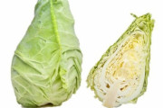 【野菜】ドイツのキャベツが最高にトガってるとワイの中で話題にｗｗｗｗｗ