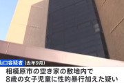 【神奈川】小学生女児(8)、父親へのプレゼントを買った帰り道に無職(34)に性的暴行される