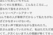 障がい女さん「ディズニーで酷いことを言われた、客ももっと障がい者の身になって考えろ」
