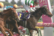 【競馬】ディーマジェスティとシンハライトどっちが鉄板？