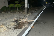 【共産党】「選挙カーがぶつかっている」知事選候補を支援する団体の街宣車が道路左側の電柱に衝突　県議と運動員が重傷　長野