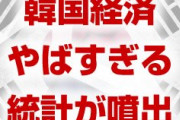 韓国でやばすぎる経済統計が噴出！　リーマンショックどころかIMF危機を上回る最悪の事態に！　文在寅の経済失敗は泣きっ面に蜂だった！