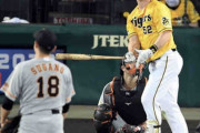阪神・サンズは火曜に強い　菅野から一発含む２安打で火曜の打率・７３３に