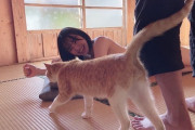 佐藤佳穂「乱入してきたネコちゃんが 水着隠してくれた??笑」