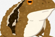【画像】カエル捕まえたwww
