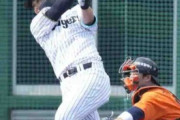 阪神が4－8でハンファに敗戦　井上広大が本塁打含む3安打