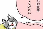 旦那さんが無職の方