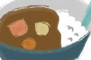 【メシマズ嫁】米、ルー共にぬるいくらいの温度でカレーがものすごくまずかったんだが…