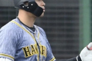 阪神　ＣＳに向けてガンケルが先発　４番・右翼に佐藤輝　フェニックスリーグ