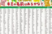 コアラのマーチが「500種類の名前入り」特別版を40周年記念に発売