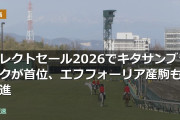 セレクトセール2026でキタサンブラックが首位、エフフォーリア産駒も躍進