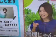 【悲報】ペット番組に出演した眞鍋かをりさん、迷子の鳥を探すチラシに対して「無理じゃんw」とヘラヘラ嘲笑して炎上