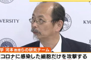 京都大学、新型コロナに感染した細胞だけを攻撃する“キラーT細胞”の作製に成功！重症患者への効果も期待、5年後に実用化へ