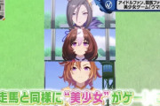 【悲報】ウマ娘、ついにフェミニストに見つかるｗｗｗ「ウマを擬人化させ育成して喜んでる！ 日本の男の感性はとち狂ってるのか？」