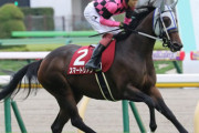 【競馬予想】第7回ターコイズステークス(GⅢ) /2021