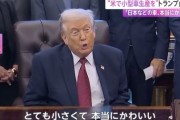 【朗報】トランプ大統領「アメリカで小型車生産を！日本などの車はとても小さくて、本当にかわいい」