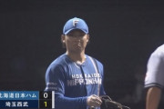 【vs.西武】日ハム伊藤、6回に外崎のタイムリーで先制を許す