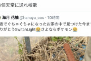 【画像】X民「津波で任天堂Switch壊れた」謎の信者「任天堂に送れ！」