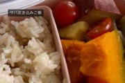 篠田麻里子、3歳長女への”意識高い系お弁当”を披露『お子様ランチみたいのは食べない』と悩みも