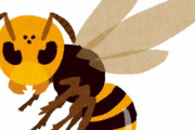 人間と同じ大きさにして最強の昆虫はスズメバチ