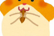 ハムスターってネズミだよなぁ