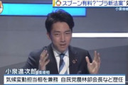 小泉進次郎「スプーン有料化法案ではない。廃棄されるのが前提のプラをすべて廃止する」