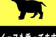 【胸糞注意】イッヌさん、不平等な扱いにキレてしまう…